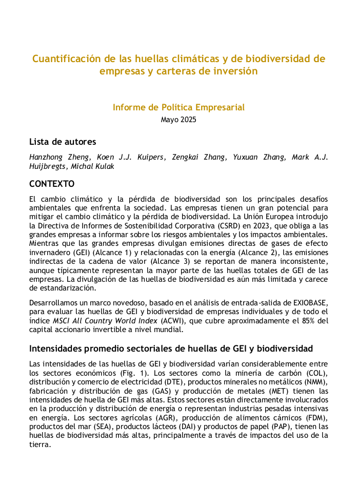 picture of sea walnut